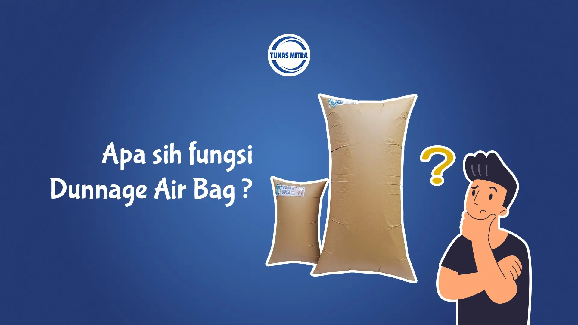 APA FUNGSI DUNNAGE AAIR BAG?